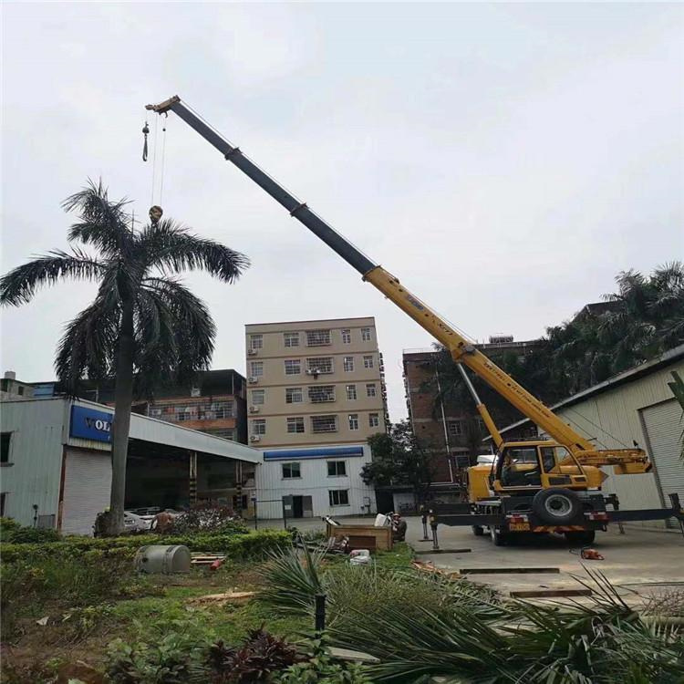 莺歌海镇汽车吊出租多少钱？全面解析与市场行情